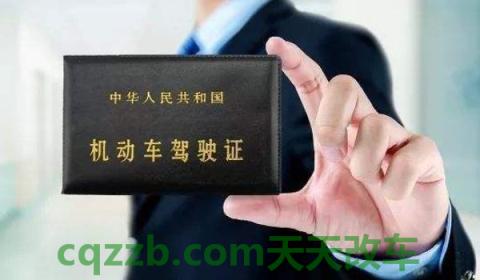 2020年电子驾照全国通用吗(机动车驾驶证丢失有几种补领方式)  第3张