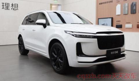 2020深圳新能源需要摇号吗(新能源车型都包括哪些种类)  第2张