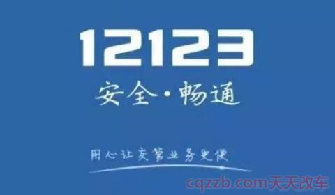 12123备案本人机动车怎么备案不了(交管12123可以处理多少分的交通违章违法行为)  第3张