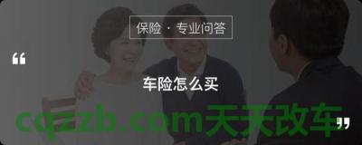 了解汽车：车险只买交强险可以吗_交通问题
