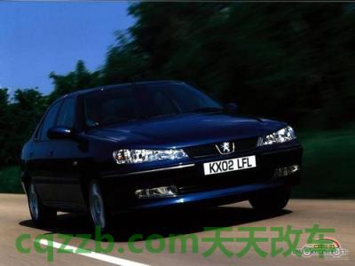 有用：标致406_什么是标致406