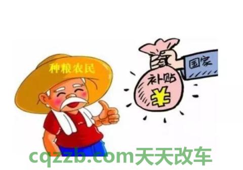 汽车知识：地方补贴_什么是地方补贴