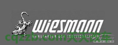 解答汽车:威兹曼厂商_什么是威兹曼厂商 第3张