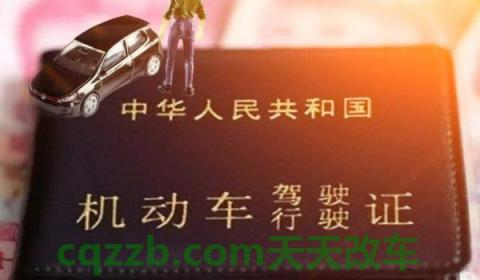 行驶证在哪里补办需要带什么材料？(行驶证丢失可以驾驶车辆吗)  第2张