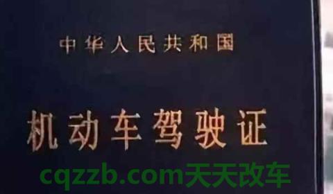 查驾驶证剩多少分怎么查(机动车驾驶证有违章怎么处理)  第2张