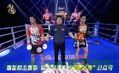 关于汽车：吴雪松_什么是吴雪松