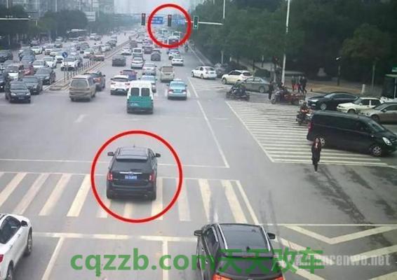了解汽车：机动车违章有照片吗_交通问题  第3张