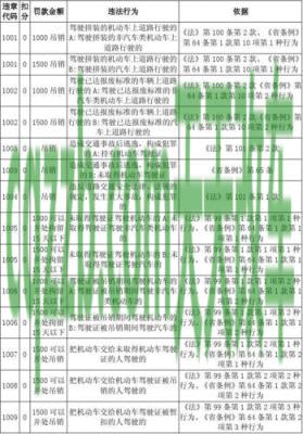 车友：1003违章代码什么意思_交通问题  第2张