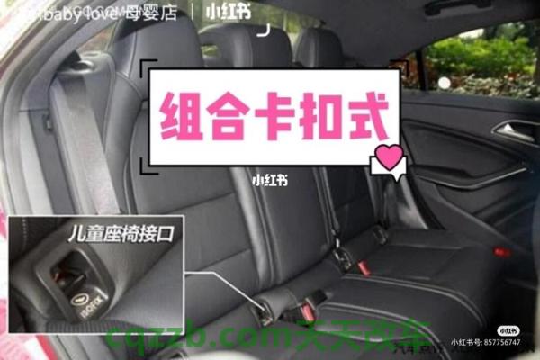 汽车分享:儿童座椅接口_什么是儿童座椅接口 第2张