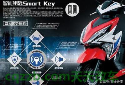 问答：ngk铱铂金和ngk铂金哪个好 ns125d和裂行是一款发动机吗  第1张