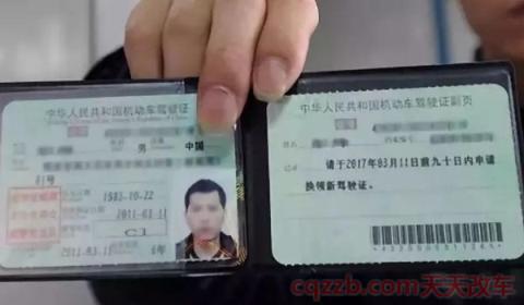 驾驶证照片什么底色(驾驶证上都有哪些信息)  第3张