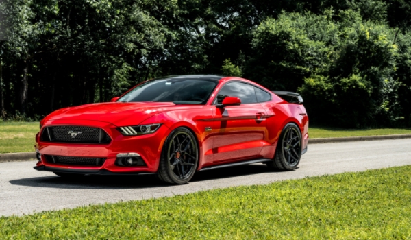 黑帅野马真的会说话吗(野马的底盘转向系统)  第3张