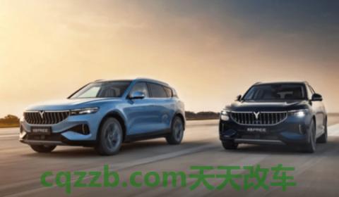 科普一下：岚图汽车是哪个公司的(岚图汽车旗下有哪些款车型)  第3张