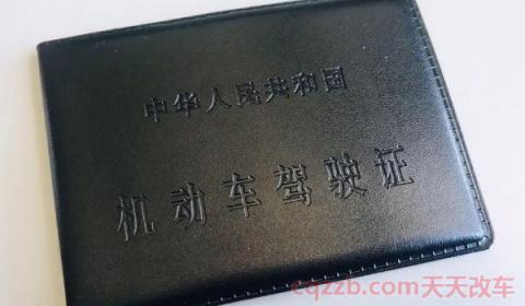 行驶证驾驶证丢了怎么办(补办机动车驾驶证都需要携带哪些证件)  第3张