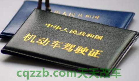 电子驾照是什么(开始机动车电子驾驶证的城市都有哪些)  第3张