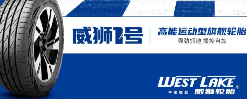 说道一下:威狮轮胎是哪个厂家(车辆轮胎多久更换一次) 第1张