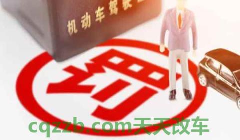 怎么查到当天的违章(违章违法有几种处罚方式)  第2张