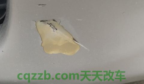 说道一下：车钣金刮腻子能挺几年(机动车辆改颜色超过多少面积需要办理备案登记手续)  第3张