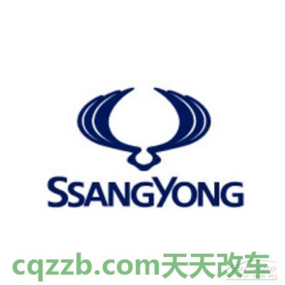 汽车有用：双龙_什么是双龙