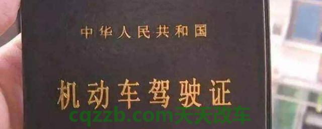 多大年龄不能考驾驶证(驾驶证是什么) 第1张