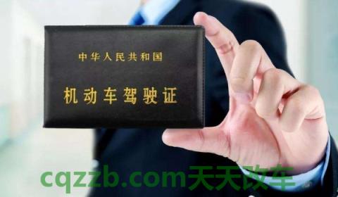 拿到驾照后成绩查不到了(驾驶证丢失需要去驾校吗)  第2张