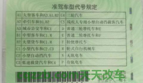 驾照过期一个月忘记换(机动车驾驶证丢失到哪里补办)  第3张