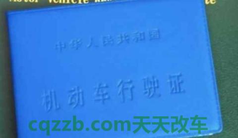 行驶证过期多久会处罚(机动车行驶证丢失怎么办)  第3张