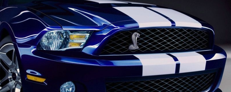 野马蛇标叫什么名字(野马动力系统是什么)