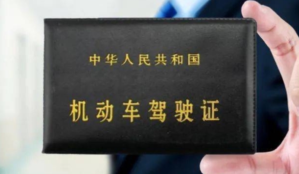 总质量和整备质量什么意思(机动车行驶证丢失怎么补办)  第2张