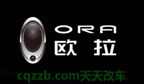 讲授一下：opr是什么牌子的车(欧拉品牌的成立时间)  第2张