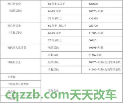 了解：2018年安徽交通事故赔偿标准_交通业务办理  第2张