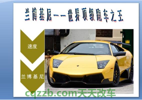 了解：费鲁吉欧·兰博基尼_什么是费鲁吉欧·兰博基尼  第2张