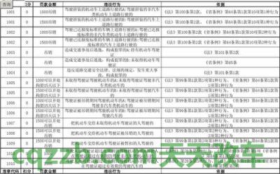 了解：违章1013代码_交通问题  第4张