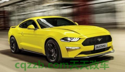 解惑一下：眼镜蛇是什么车(福特MUSTANG的底盘转向系统是什么)  第2张