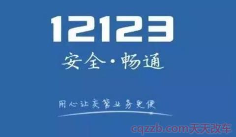 12123免检拍哪两张照片电子保单(12123可以处理违章吗)  第2张