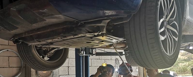 蛇从发动机舱能爬到驾驶室吗(发动机舱可以直接使用清水清理吗)