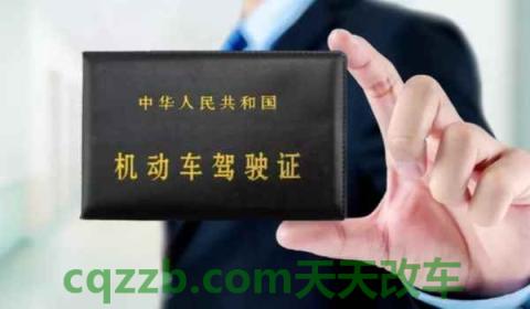 辽阳车牌字母是什么(车辆违章违法行为可以不处理吗)  第3张