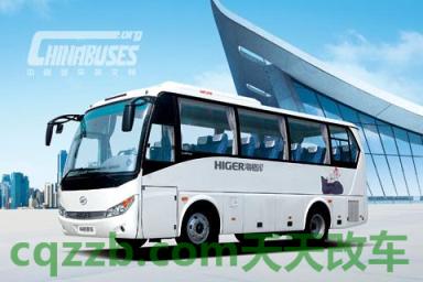 关于:海格_什么是海格 第2张