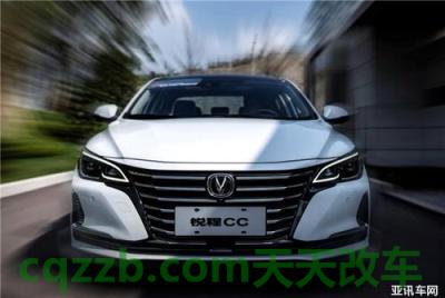 解答：泰卡特_什么是泰卡特  第2张