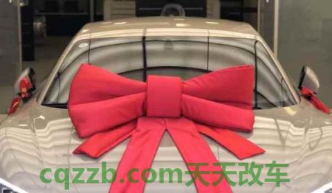 新车上完牌有哪些证件给车主(新车购买之后可以做哪些装饰)  第3张