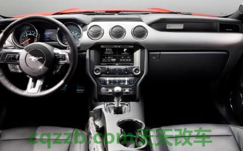 野马是什么牌子(新款福特野马怎么样)  第2张