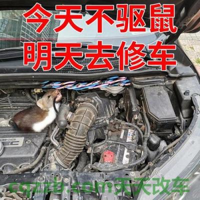问答：汽车发电机发出的电压是多少v 汽车发动机舱防鼠技巧  第3张