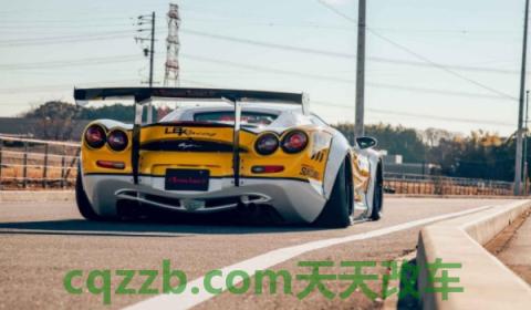揭秘：大蛇是什么车(大蛇的底盘转向系统是什么)  第3张