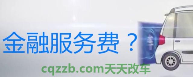 买车服务费可以不交吗(车辆购买上牌费是什么意思)  第1张