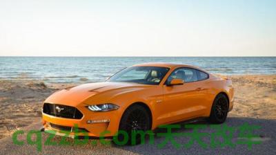 问答：野马汽车_什么是野马汽车  第5张