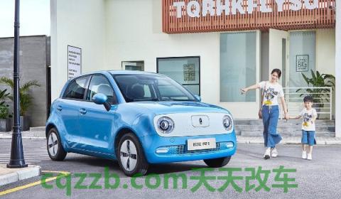 欧拉r1胎压监测复位(欧拉r1使用的电机类型)  第2张