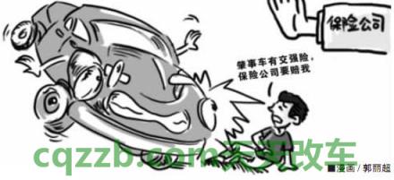 有关：交强险是赔给谁的_交通问题  第3张