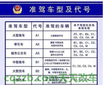了解汽车：b2驾驶证能开什么车_交通问题