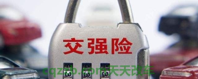 车牌号查交强险()  第2张