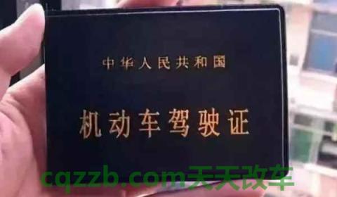 怎样查询驾驶证还有多少分(机动车驾驶证在哪里获得)  第3张